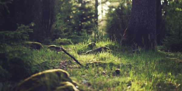 大健康產業(yè)的品牌戰(zhàn)略規(guī)劃