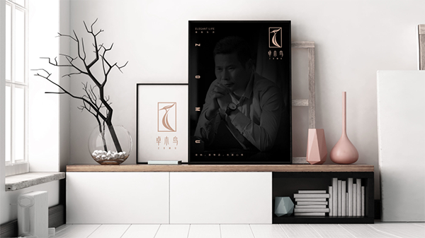 卓木鳥(niǎo)收納品牌戰(zhàn)略案例