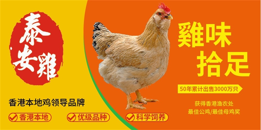 肉類食品品牌定位公司分享：泰安雞家禽行業(yè)案例